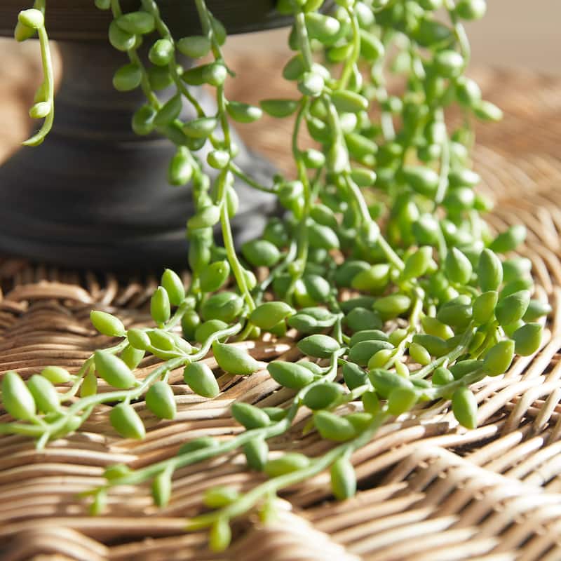 String Of Pearls Drop-In 26" - Green