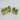 Direct Wicker 2 Pieces Living Room Artificial Succulent Plant