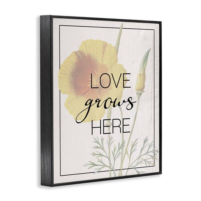 Stupell Vintage Love Grows Here Framed Giclee Art Design By Lil' Rue