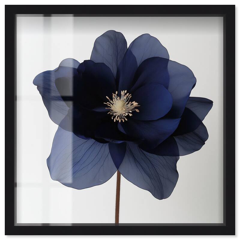 Night Dal I Shadowbox by Art Remedy - Black - 24" x 24"