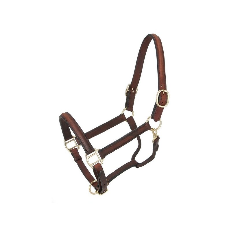 Royal King Leather Draw Reins