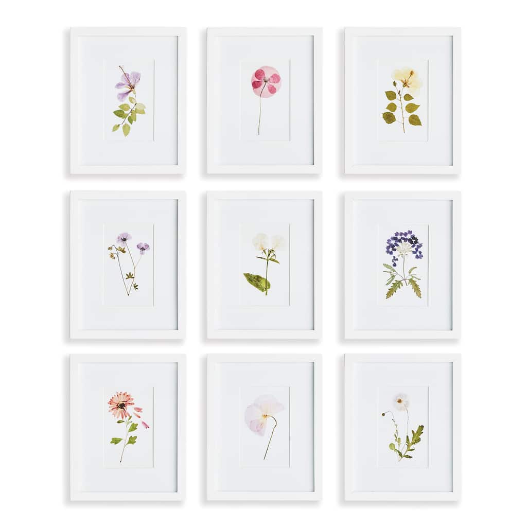 Mountain Flower Petite Prints, Set Of 9