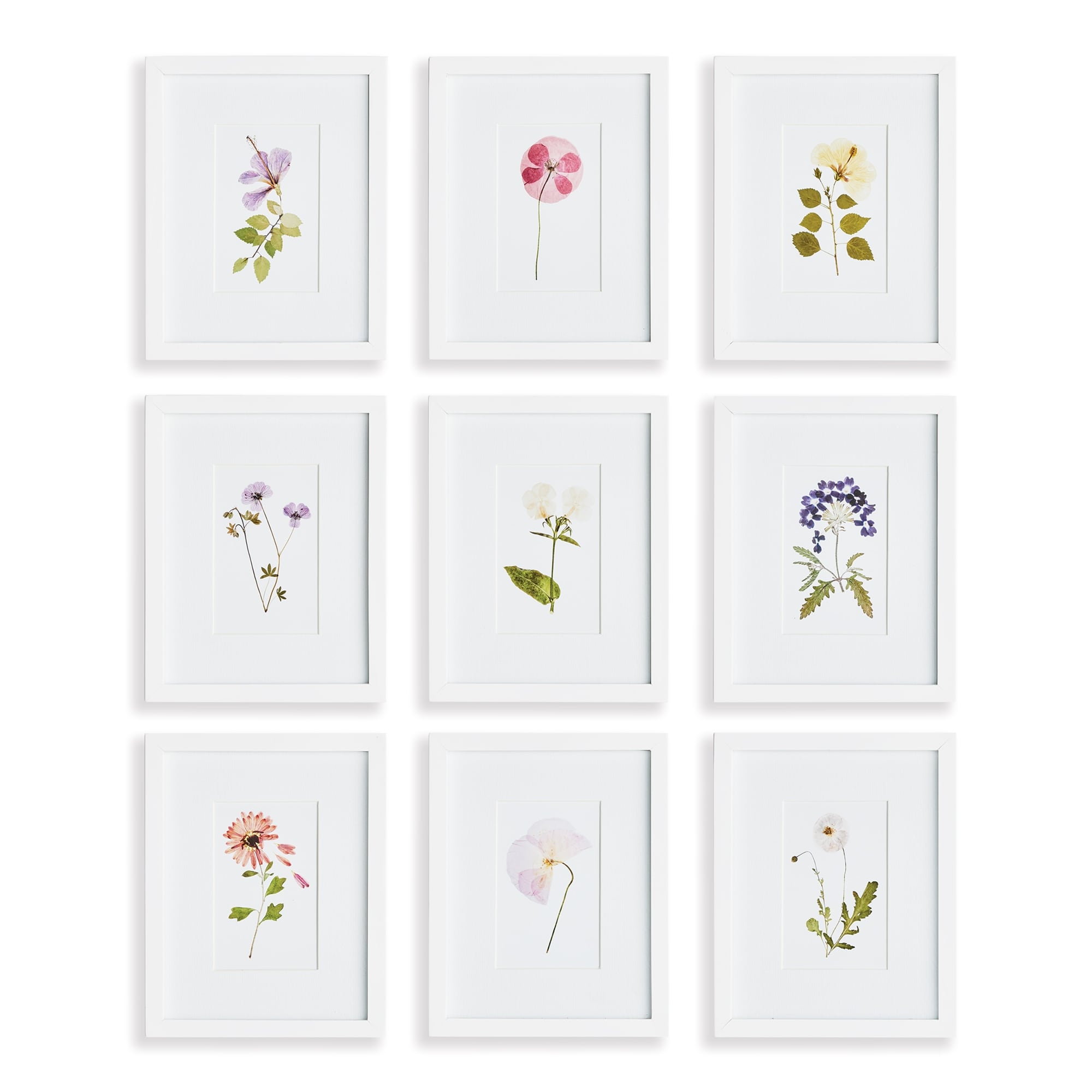 Chinoiserie Gallery, Set Of 8 - Overstock - 38266233