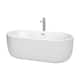 Option White, Brushed Nickel Trim & Faucet