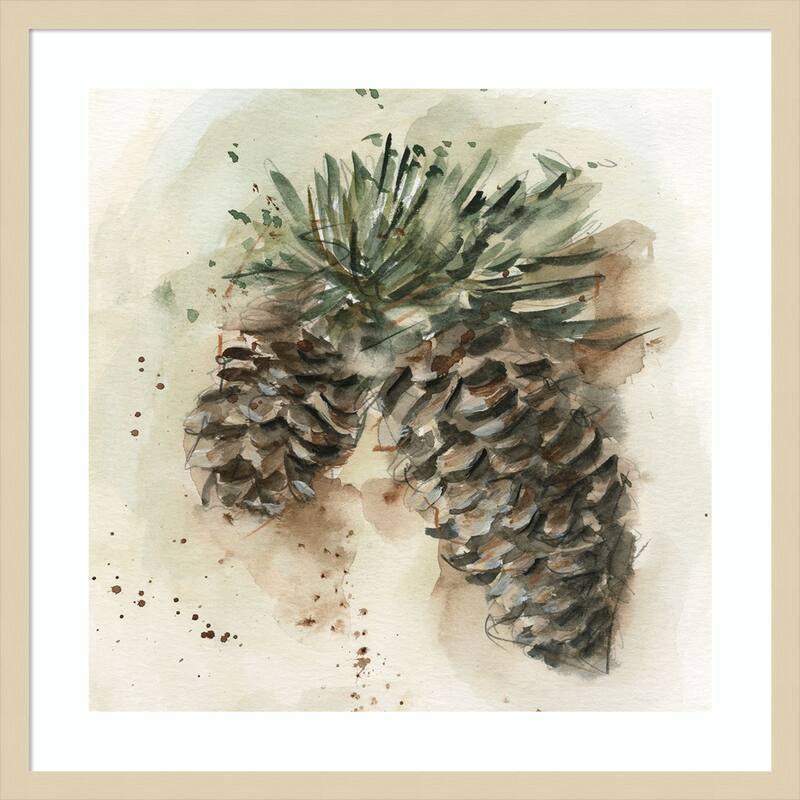 Watercolor Pinecone Study No. 1 by Ethan Harper Wood Framed Wall Art Print