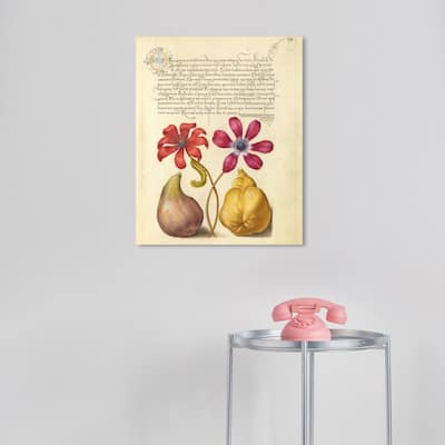 Wynwood Studio Canvas Floral and Botanical Hoefnagel - Poppy Anemone Caterpillar Fig and Quince Wall Art Canvas Print