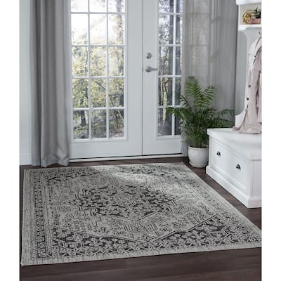Colonnade Traditional Medallion Indoor/Outdoor Area Rug