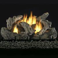 Buy Natural Gas Fireplaces Online At Overstock Our Best Decorative Accessories Deals