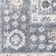 preview thumbnail 45 of 58, Nourison Astra Machine Washable Indoor only Persian Area Rug