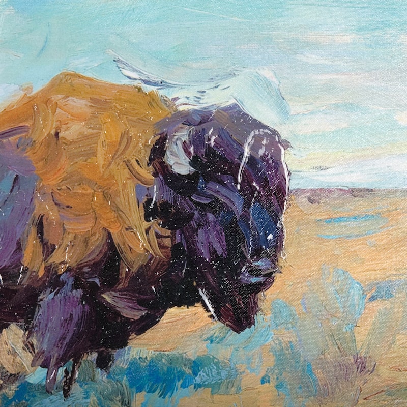 Buffalo Framed Art Print