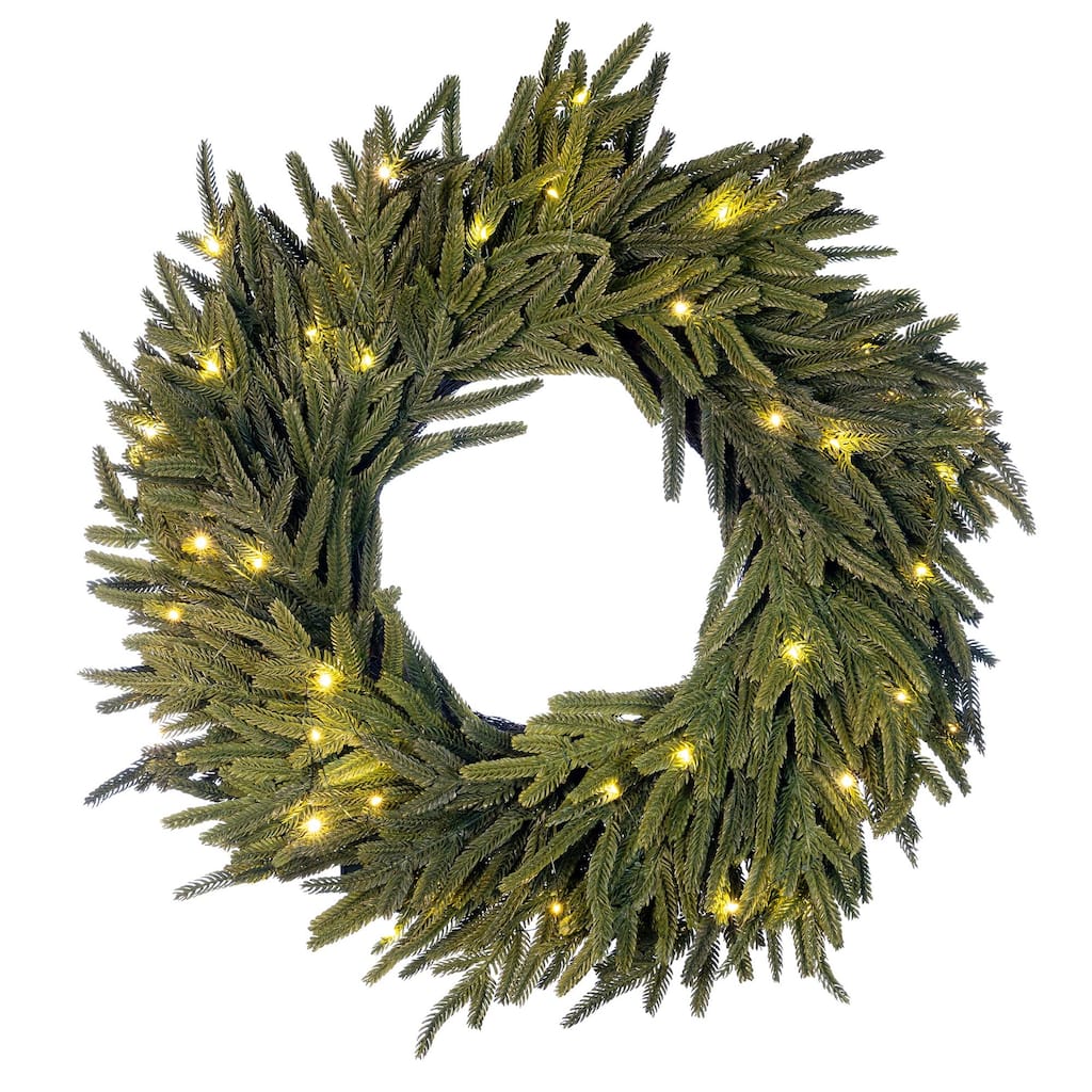 24 in. Pre-Lit LED Wreath - Norfolk