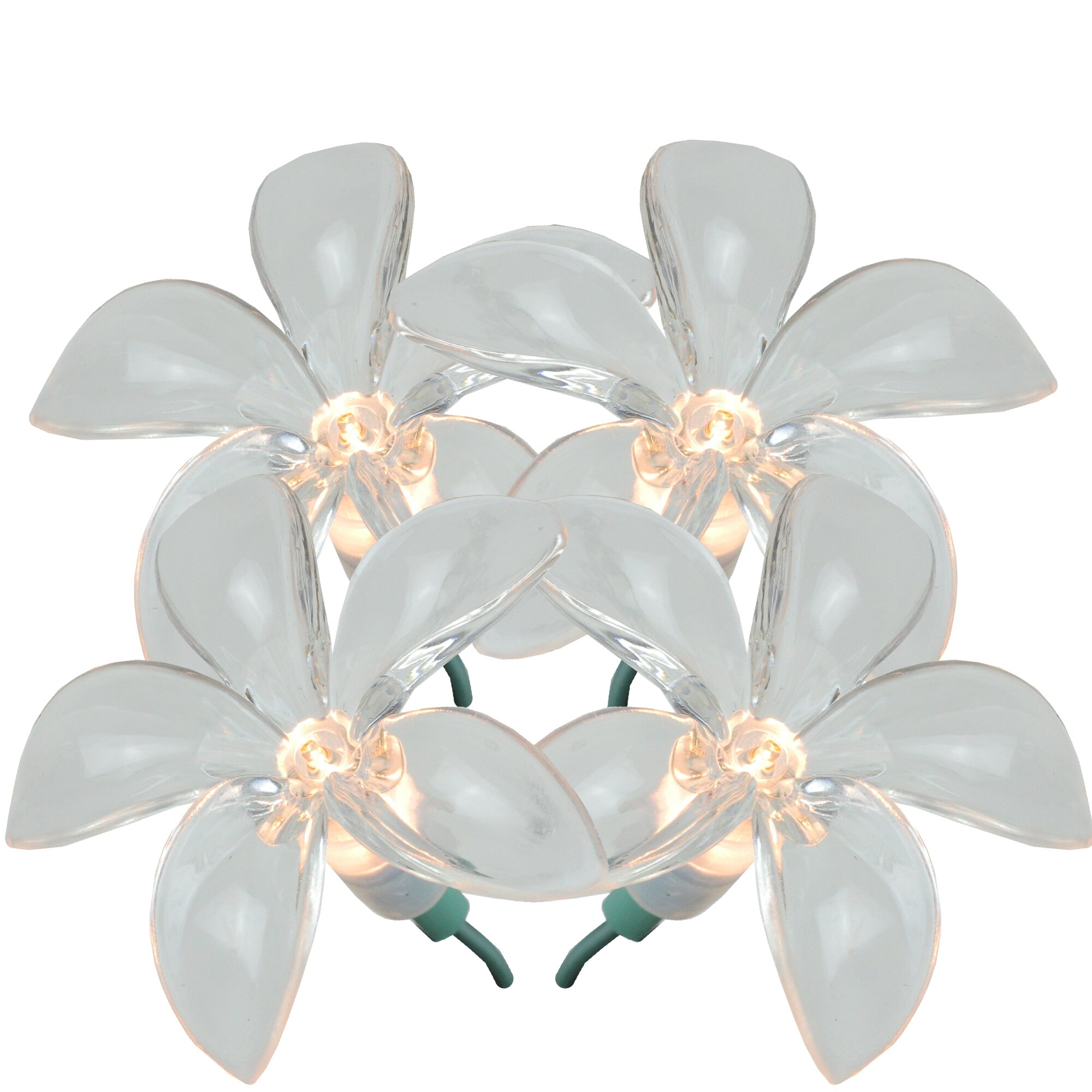 20 Clear Plumeria Flower Novelty Christmas Lights - 8 ft Green