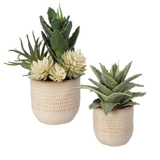 Uttermost Seaside Succulents, Set Of 2 - 9"W x 12"H x 7"D