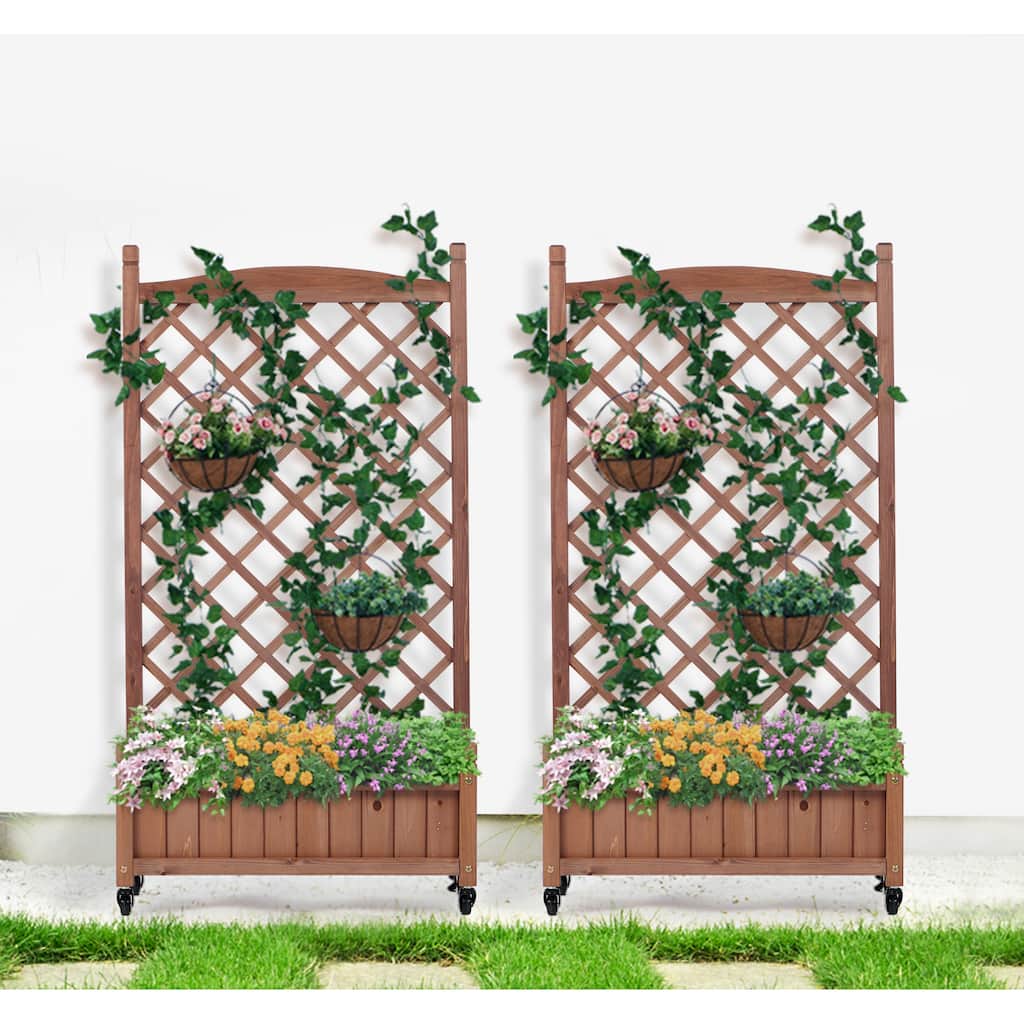 Raised Garden Bed with Trellis 2 Pack