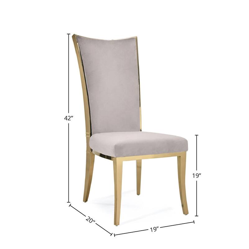 Massimo Titanium Gold Stainless Steel Dining Chair, Set of 2
