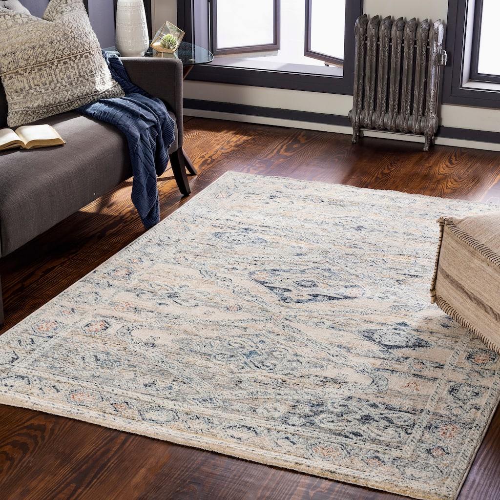 Livabliss Kambiz Vintage Traditional Area Rug
