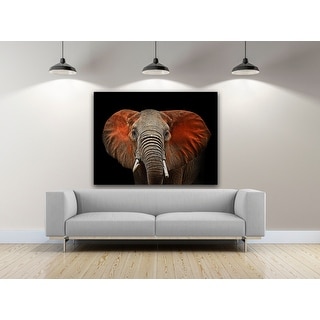 African Elephant Photography Canvas Art - Bed Bath & Beyond - 30218379