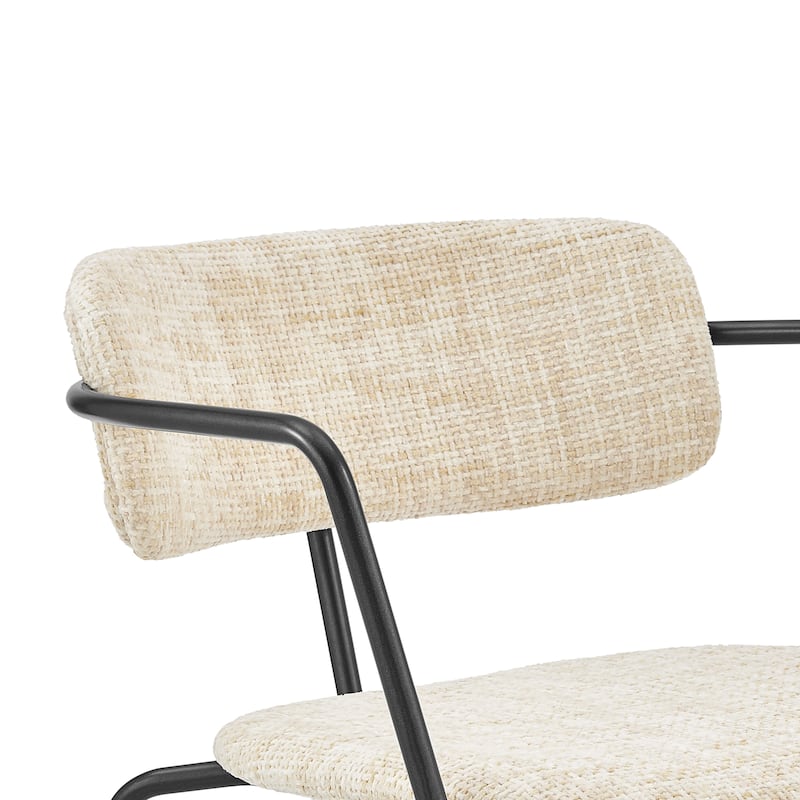 NPD Furniture Alivia Fabric Dining Side Arm Chair (Set of 2)