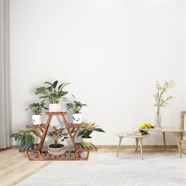 dracaena compacta janet craig Easy to Grow Bulbs Dracaena - Janet Craig Compacta Houseplant main image 1