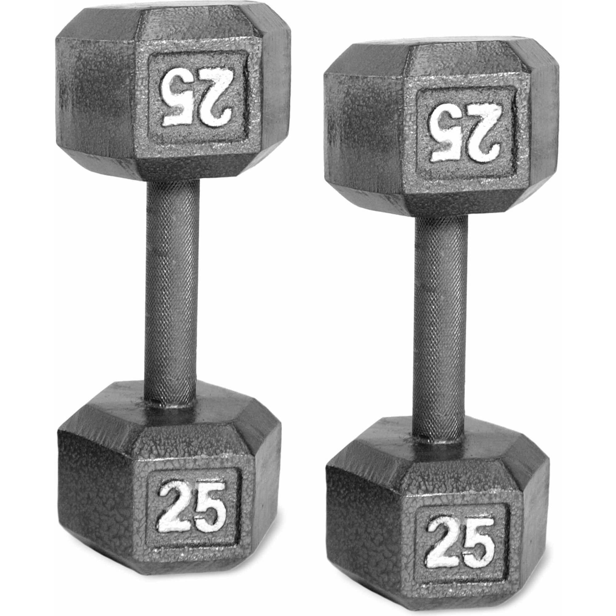 Barbell 25 lb discount