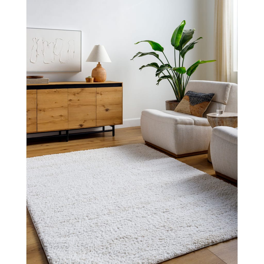 Livabliss Modern & Contemporary Sacramento Shag Ombre Area Rug