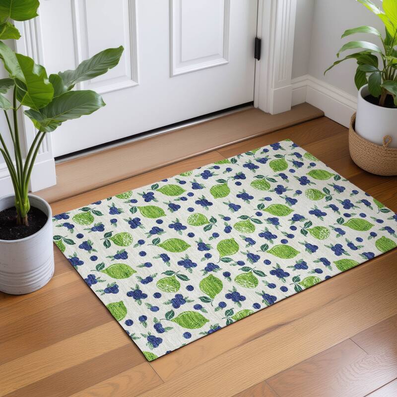 Machine Washable Indoor/ Outdoor Citrus Berry Chantille Rug