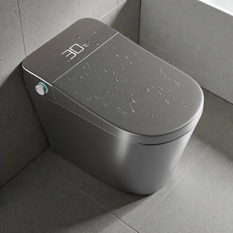 Smart One Piece Toilet with Built In Bidet. Auto Open Close Seat. Heated Seat. Warm Water. Dryer. Remote Control