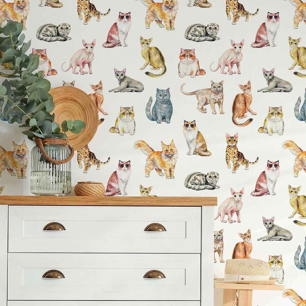 Cat Pattern Childrens Room Wallpaper Wall Mural Peel  Etsy