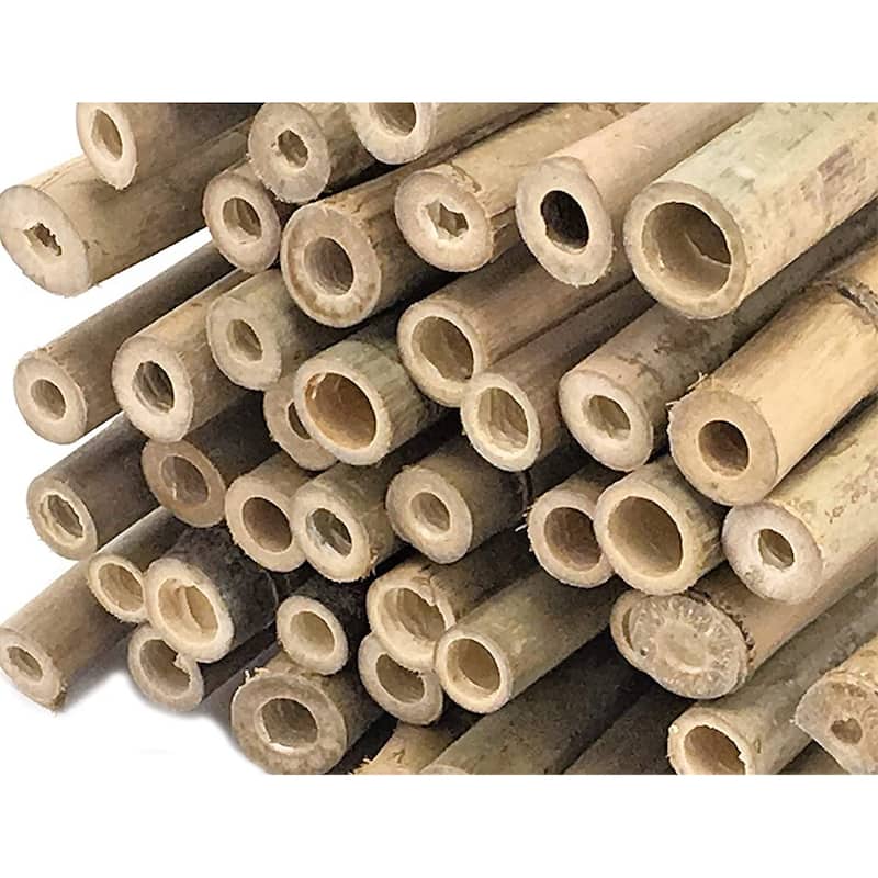 Bamboo Stakes For Gardening Plant Support for Garden Natural (25-Pack)