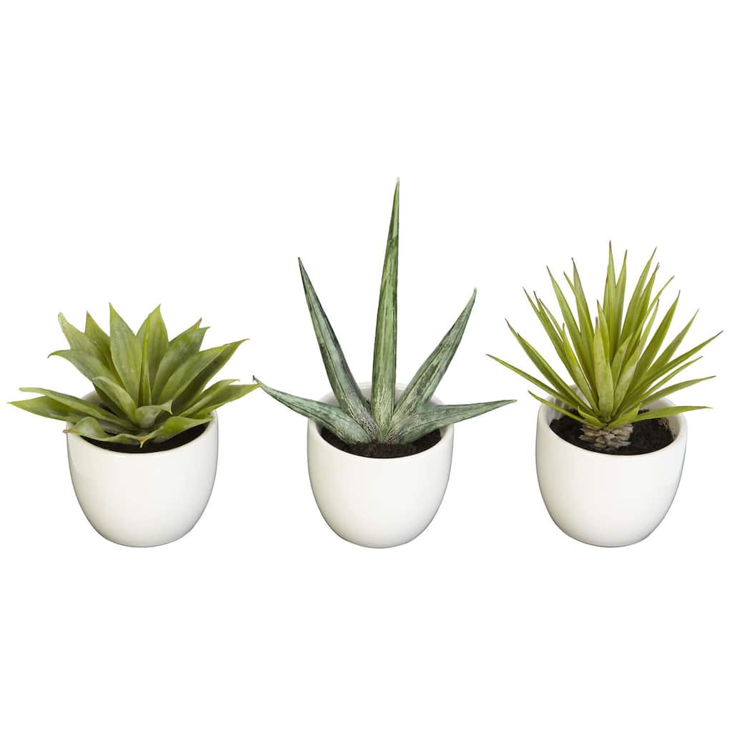 Decorative Agave Plant Set of 3 Modern Home Decor Living Room, Office, Tabletop Plants - 0.71ft.