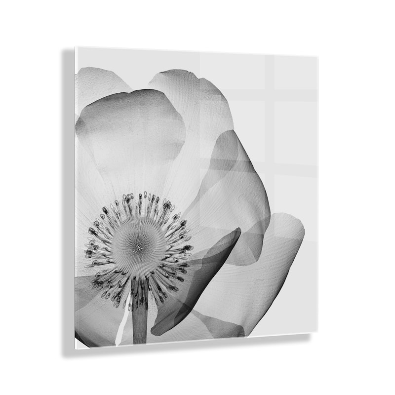 Kate and Laurel Poppy X Ray Acrylic Art by The Creative Bunch Studio