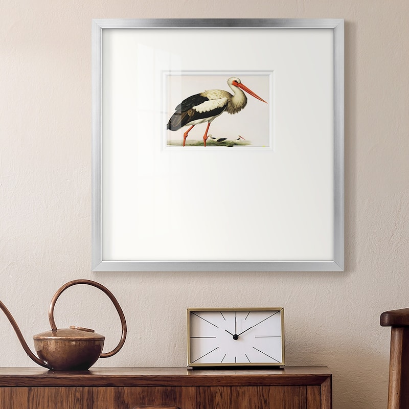 Odd CranePremium Framed Print