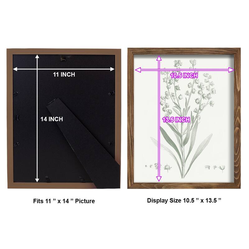 Botanical Study in Sage I -Framed Print w/glass-Cherry Red