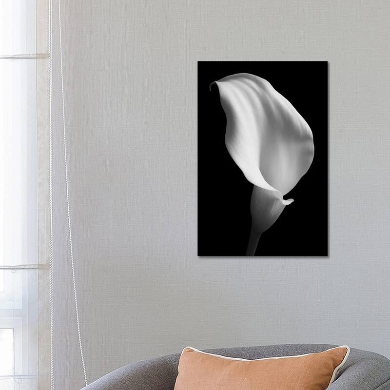 iCanvas "Lily On Black II" by Tom Quartermaine Canvas Print - 26x18x1.5