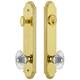 Option Lifetime Brass