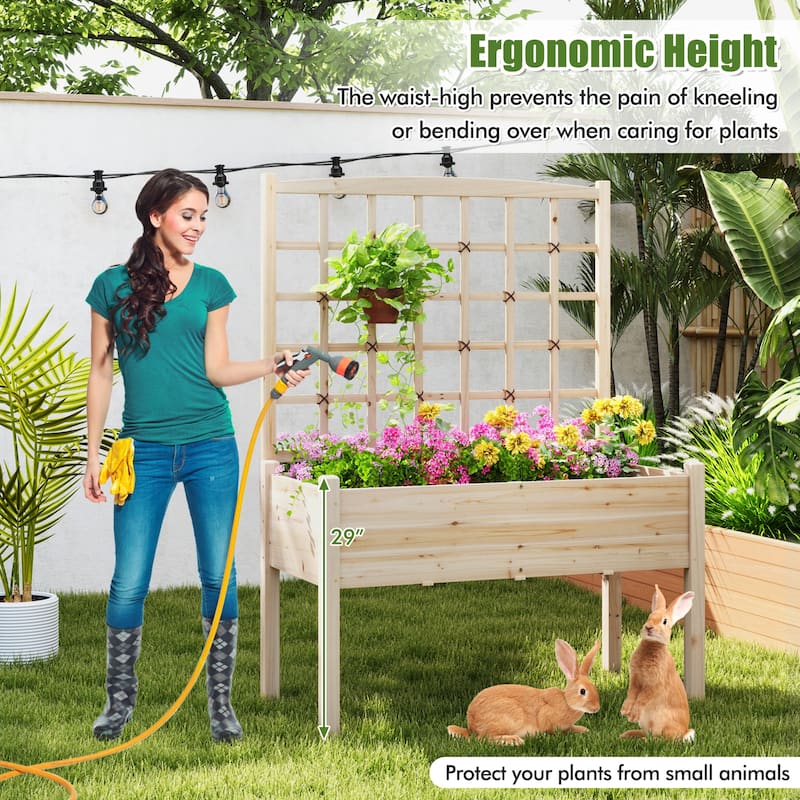 Gymax Raised Garden Bed w/ Lattice Trellis Drainage Holes Legs Legs