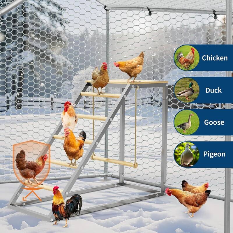 Chicken Perch for Coop for Backyard Farm Chickens in Coop