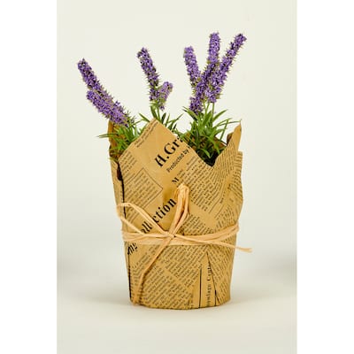 9" Artificial Lavender in 4" Pot w/ Newspaper, Set of 2 - Purple - 9