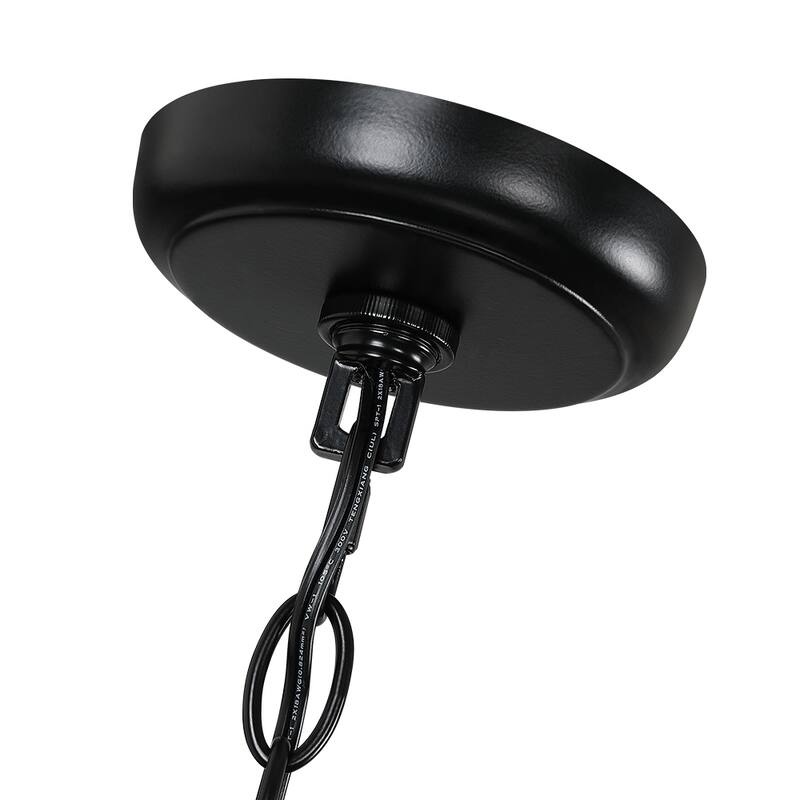 2-Light Black Large Transitional Outdoor Hanging Pendant Light with Clear Glass - 20 in. H