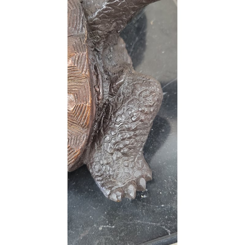 Limited Edition Bronze Tortoise Turtle Life Size Sculpture Statue Figure