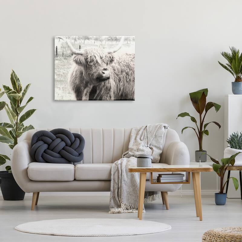 Stupell Rustic Farm Highland Cattle Cow Monochrome Photography Canvas Wall Art, Design by Graffitee Studios