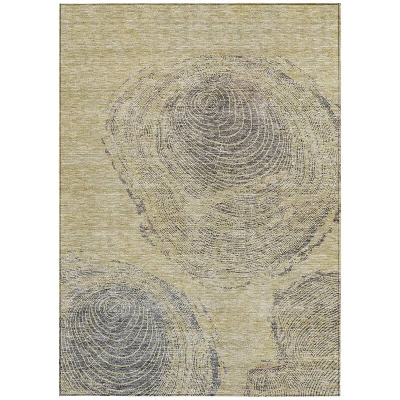 HomeRoots Abstract Transitional Rectangle Outdoor Rug