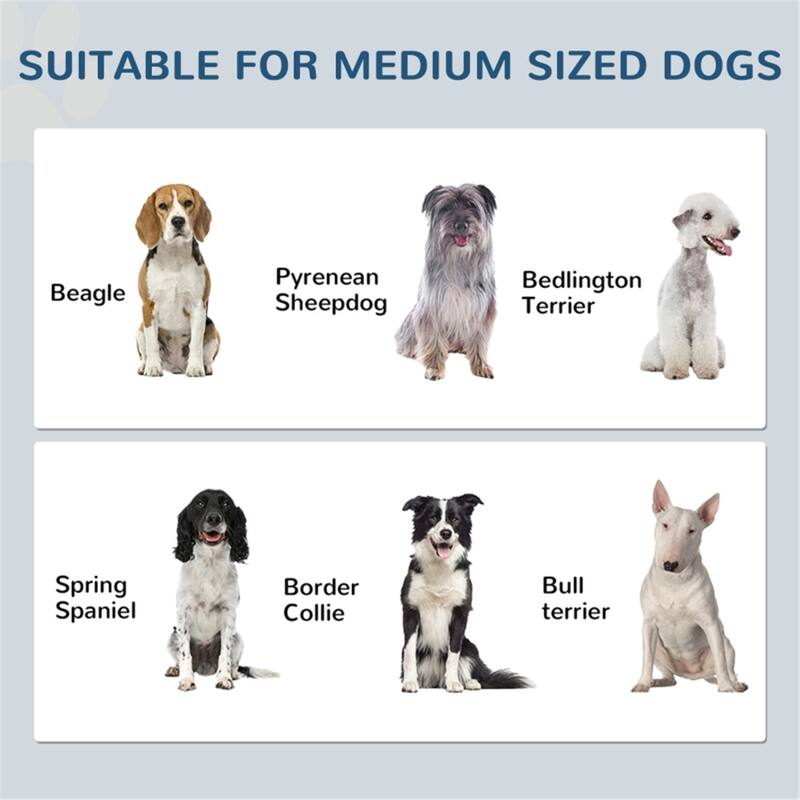 Dog Food Storage Cabinet