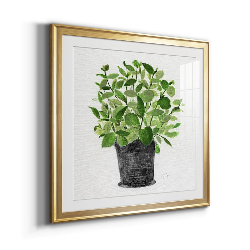 Herb Garden I Premium Framed Print - Ready to Hang