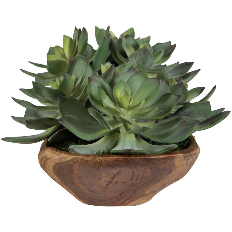 Uttermost 60205 Yuma 8" Tall Wood Faux Flora Planter