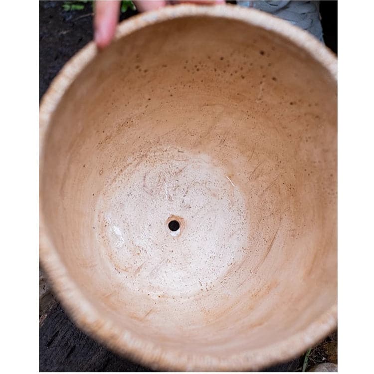 RusticReach Rattan Pattern Edge Cement Planter