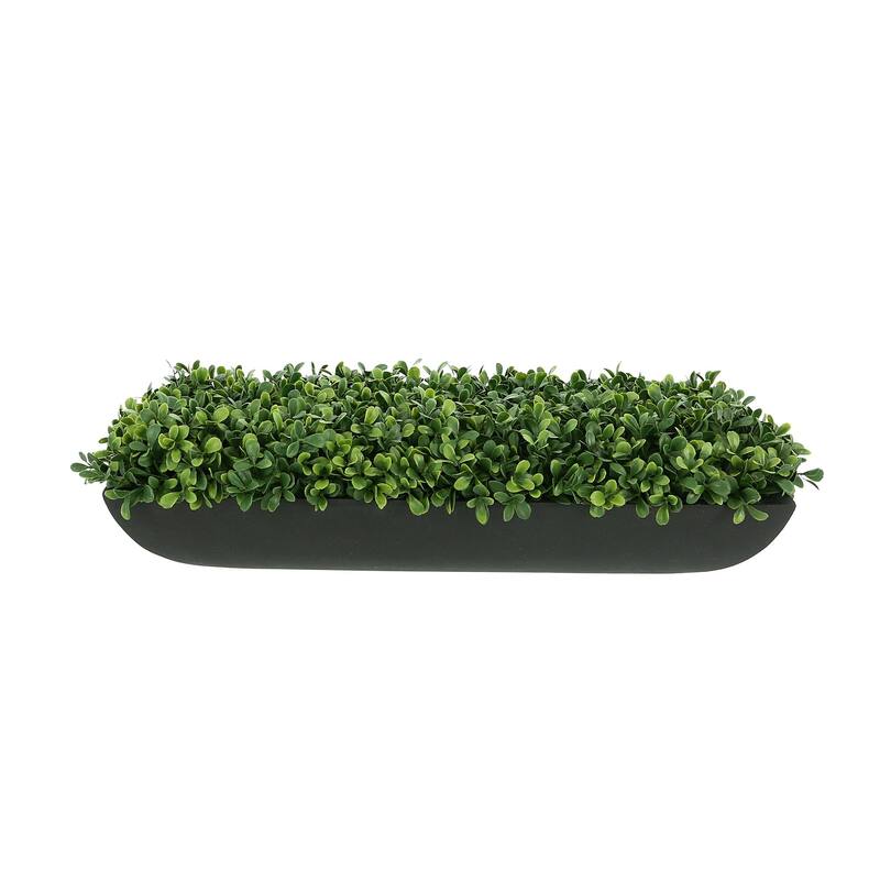 UV Rated Outdoor Boxwoods Arranged in a Rectangular Planter