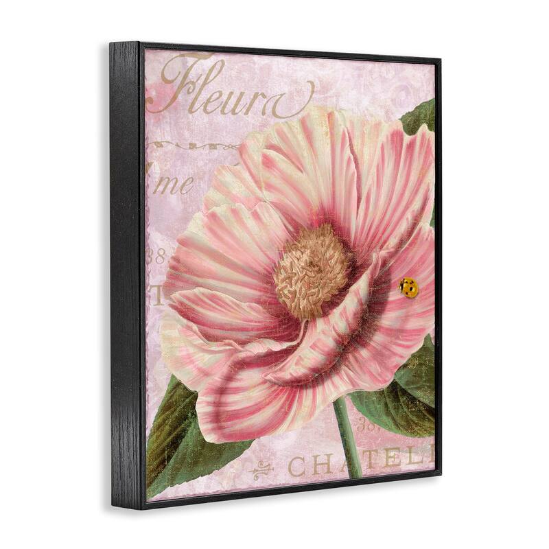 Stupell French Flower & Ladybug Framed Giclee Art Design By Sasha