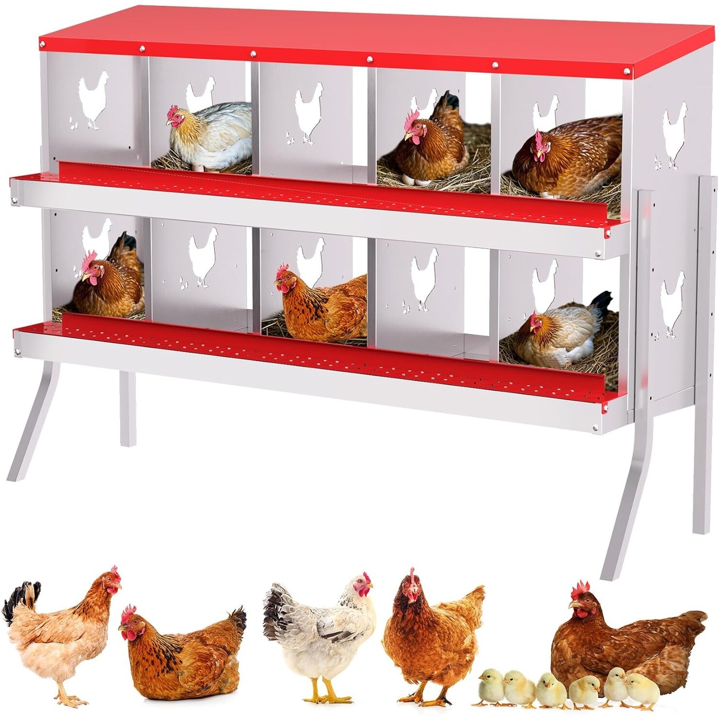 product_img5