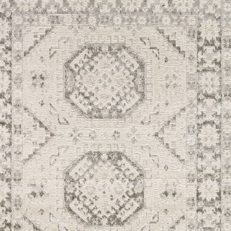 Fijoc Distressed Geometric Area Rug By HomeRoots - 4' x 6'